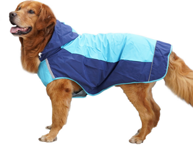 큐앤캐롯 대형견 우비 중형견 비옷 중대형견 레인코트, 1개, 블루