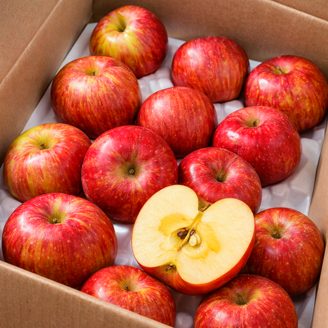 [농장특가] 농가직송 새콤달콤 경북 부사사과, 1박스, 오늘만 초특가 1kg (7-9과 내외)