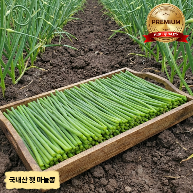 [특상품] 2026 첫 출하 햇 남해 마늘쫑 100% 국내산 아삭아삭 알싸한 마늘쫑, 1개, 국내산 햇 마늘쫑 400g