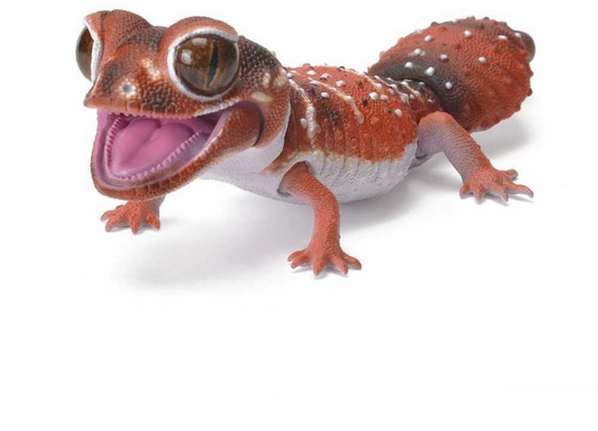 도마뱀피규어 생물대도감 개코 캡슐토이 굿즈 반다이, 푸른혀도마뱀 C형, 1개