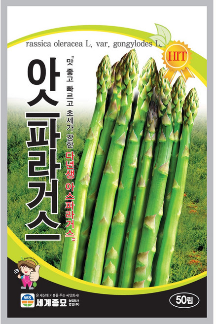 세계종묘 아스파라거스 씨앗 50립, 1개