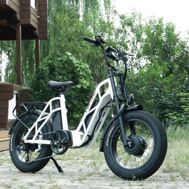 전기자전거 경량 고출력모델 1500W 듀얼 750W 모터 스텝 스루 장거리용 배터리 2 개 공장 가격 직매, 7, 20 inch, 4)Gemini Grey