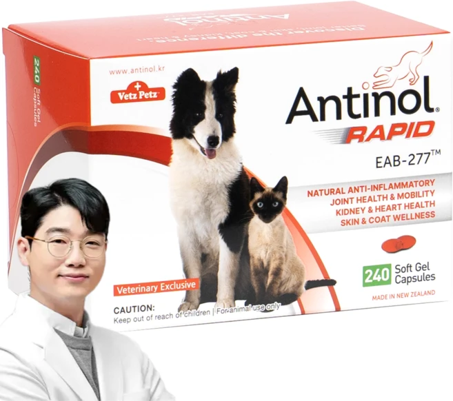 안티놀 래피드 240정, 뼈/관절강화, 1개 - 쿠팡