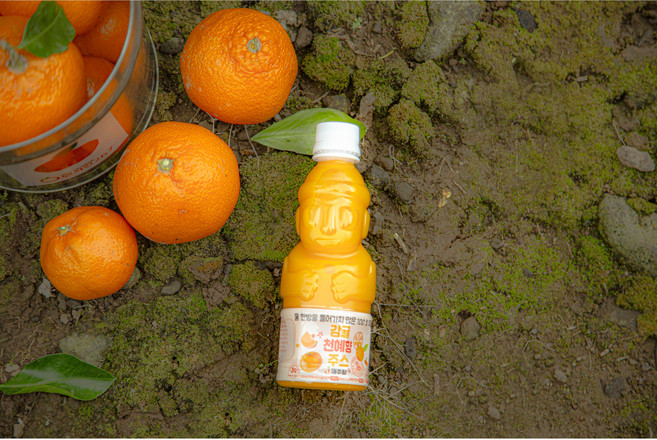 제주감귤 천혜향 주스, 24개, 330ml