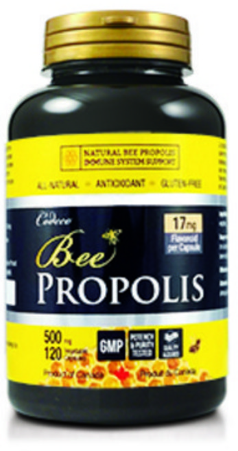 CODECO PROPOLIS 코데코 뉴트리션 비 프로폴리스 120일분 500mgx120캡슐 코데코 프로폴리스 면역력증진 비프로폴리스 코데코 비 프로폴리스 프로폴리스캡슐, 1개, 30ml - 쿠팡