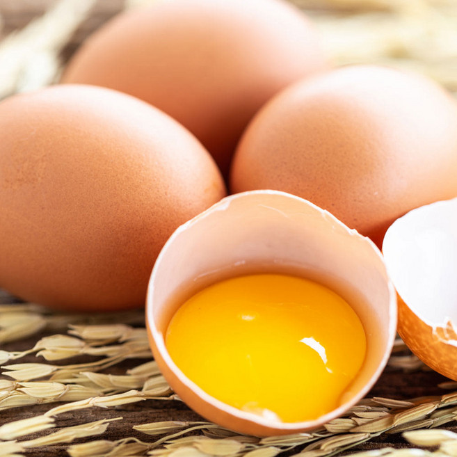 무항생제 생란 계란 대란 20구 30구 60구, 1개