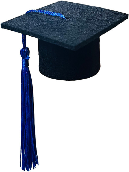 미니학사모 졸업식 풍선 꽃다발 장식, 50개, 블루