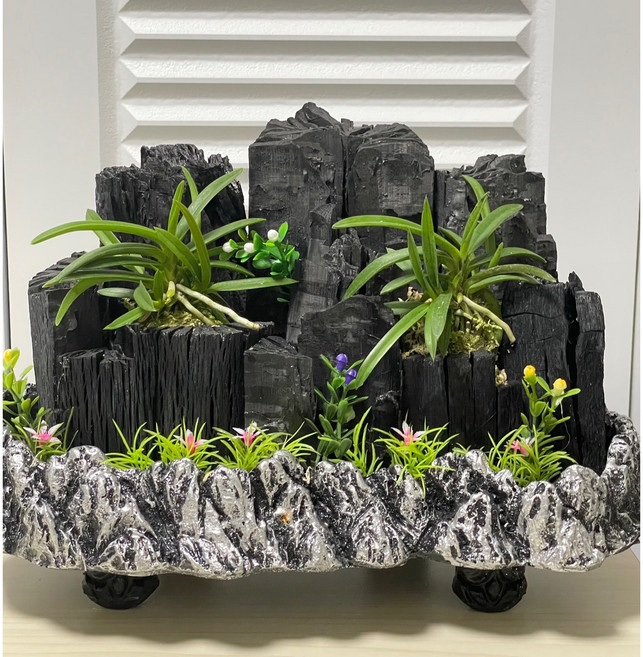 [희망참숯농원] 공기정화 숯화분 금강산, 1개