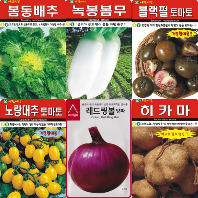 GREEN가든 AR 씨앗 무 배추 양파 옥수수 토마토 수박 참외 콩 히카마 감자 종자, 적겨자 1000립