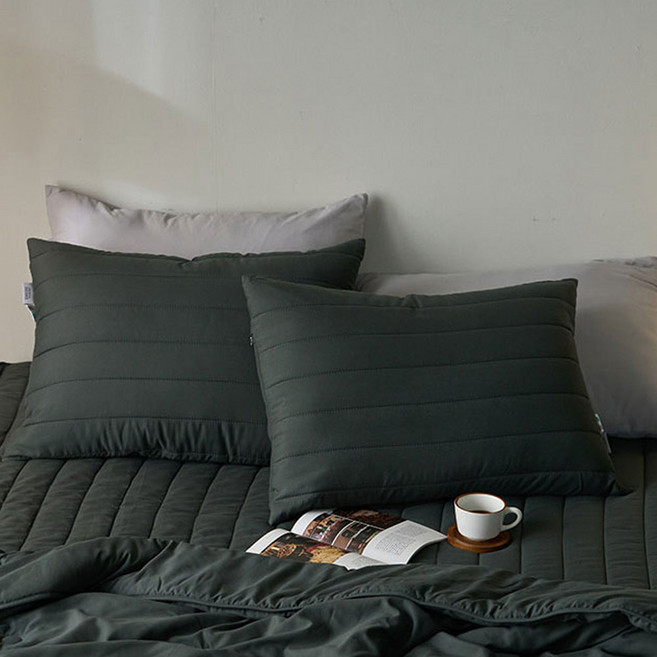 에메르 알러제로 다운필 슬로안 누빔 베개커버 2개세트