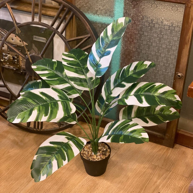 仿真龜背葉 盆栽 植物 假植物 龜背芋 室內裝飾, 白錦旅人蕉, 1個