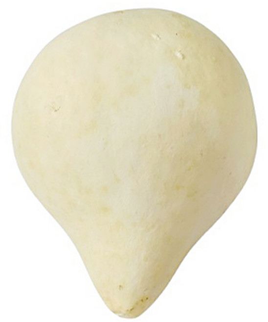 박바가지 표주박 조롱박 - 액운풀이 동토풀이, 단일, 1개