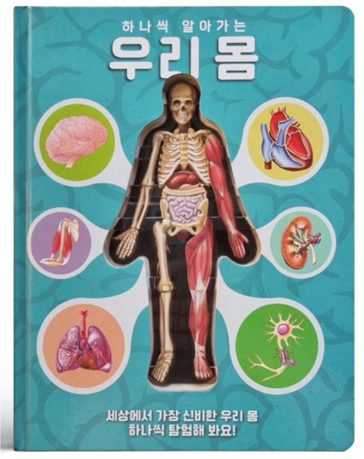 룰루아이 하나씩알아가는우리몸 인체책 우리몸도서 과학책 우리몸