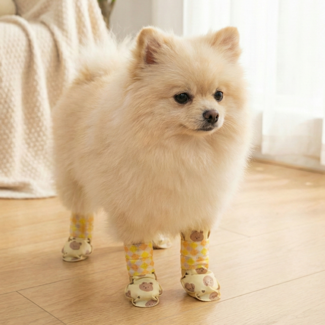 웨이백홈 통기성 강아지 일회용 신발 80p, 80개, 옐로우