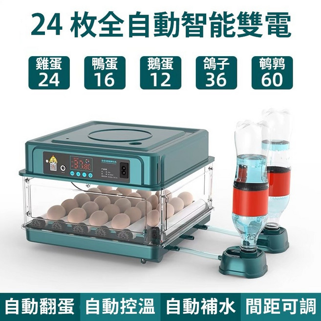 臺灣齣貨 全自動智能孵蛋器 110V 雞鴨鵝鴿子孵化器 自動翻蛋 自動補水 小雞孵化機 孵化箱, 24枚雙電【全自動控溫補水】