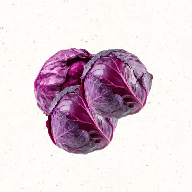 친환경 적채 적양배추 샐러드용 국내산 채소, 1kg, 1개, 1kg