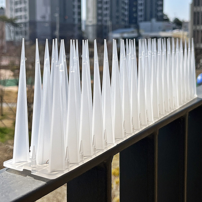 5P 비둘기 퇴치기 버드스파이크 높이 10cm 투명색, 1개