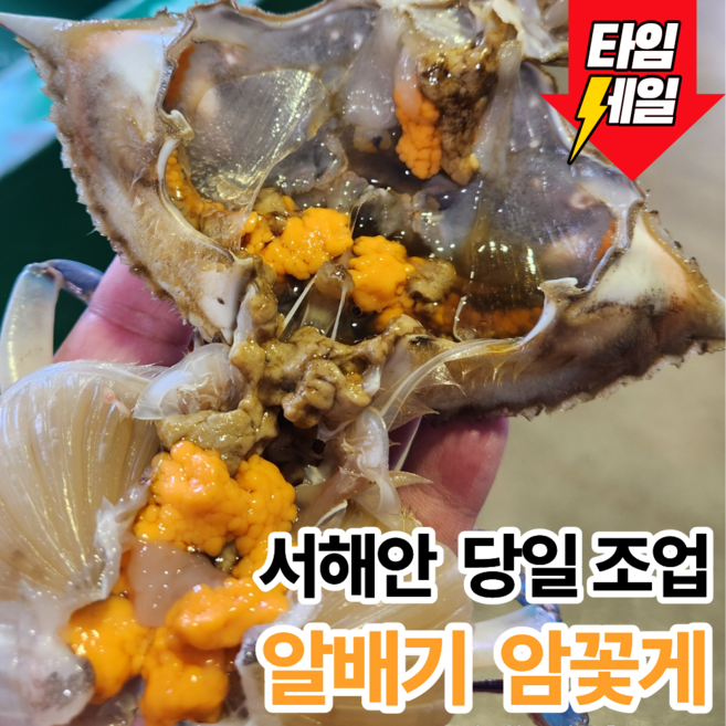 [봄제철특가] 서해안 당일조업 알배기 생물암꽃게, 1개, 1kg