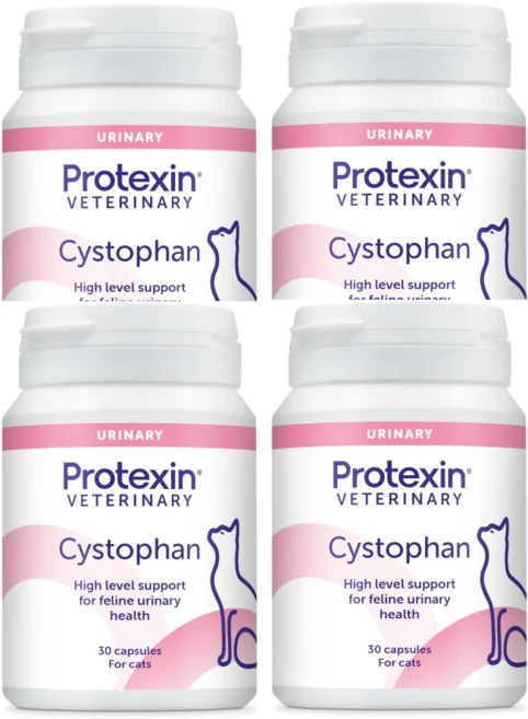 프로텍신 시스토판 고양이용 반려묘 영양제 유리너리 방광 요로건강 영양제 30캡슐 4통세트 - 쿠팡