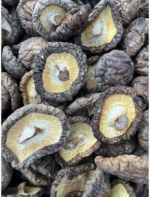 埔里香菇 黑金色澤冬菇 大又厚, 1個, 100g
