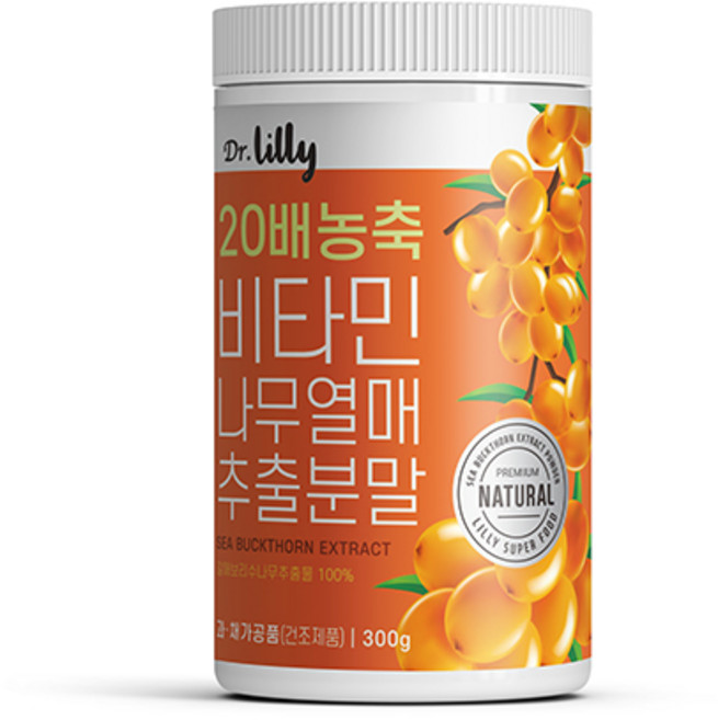 닥터릴리 20배농축 비타민나무열매가루 추출물분말, 1개, 300g