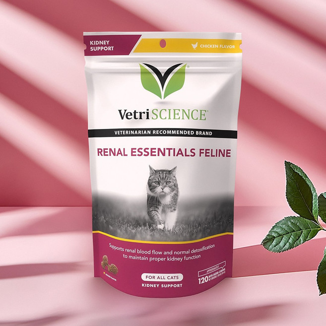 베트리사이언스 고양이 신장 보조제 120츄어블, 1개, 신장/심장/간, 120정