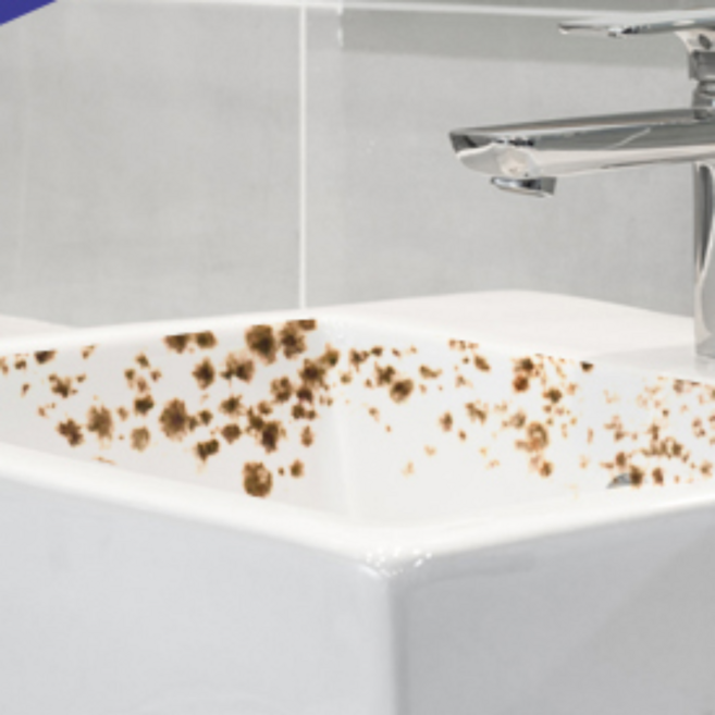 화장실니코틴제거 니코틴제거제 화장실천장곰팡이 담배찌든때제거 욕실니코틴제거 베란다세탁실세정제, 1개, 500ml