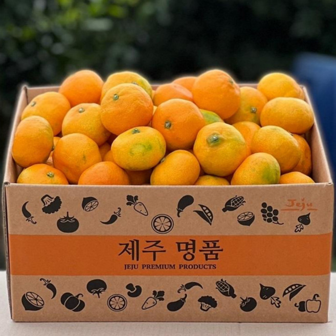 싱싱햇 제주 노지 타이벡 하우스 귤 감귤 밀감, 1박스, 하우스 감귤 2.5kg 중과