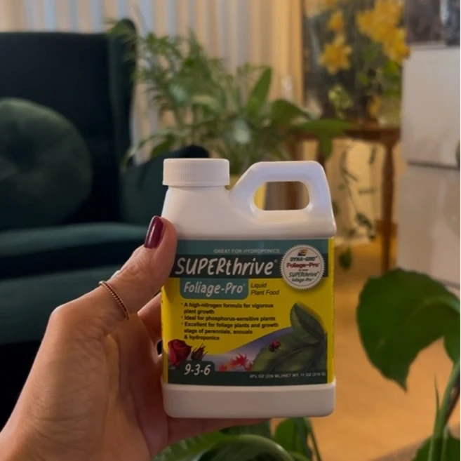 식물영양제 다이나그로 폴리지프로 9-3-6 열대 관엽 8oz/310g 화분영양제 칼슘비료, 1개, 236ml - 쿠팡