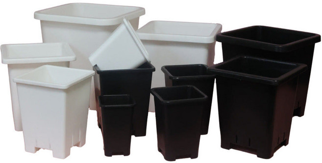 다육이야기 국산 사각 슬릿 플라스틱 플분 화분 0.5호 10개, 검정