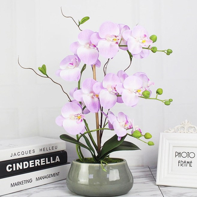 사계절 호접란 화분 수공예 꽃 난꽃 조화 중형 연보라, 단품