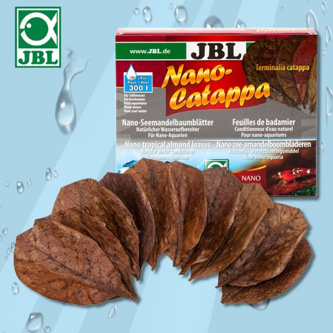 샘아쿠아 JBL 나노 카타파 알몬드잎 10장