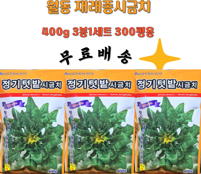 월동시금치씨앗 재래종시금치씨 겨울시금치 300평용 3봉1세트 씨앗의모든것, 3개