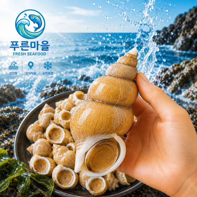 [산지직송] 포항 구룡포 동해안 자연산 백고동 1kg (참골뱅이탕 골뱅이소면용), 1박스, 특대1kg 9미