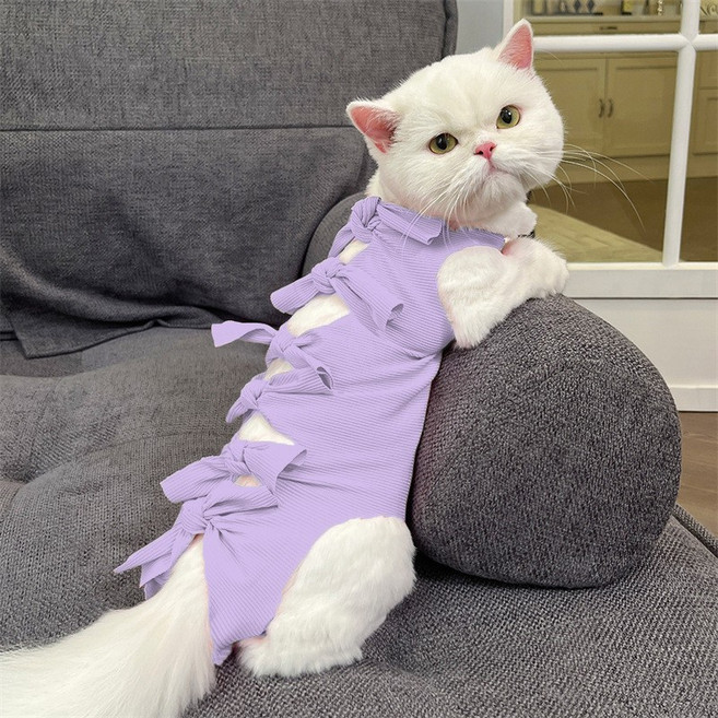 貓咪術後防舔服
