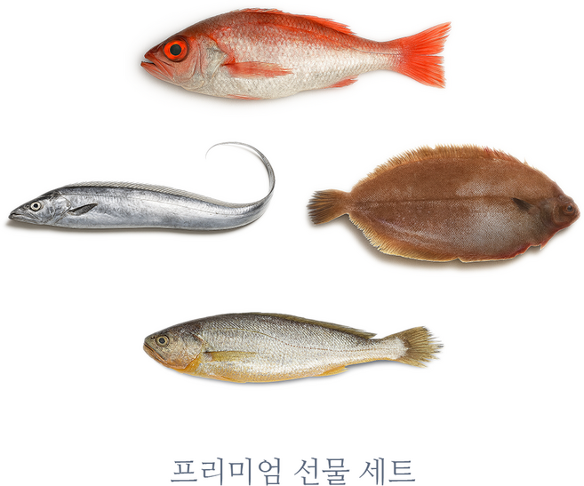[청정해품] 프리미엄 국내산 생선 선물세트 (금태 알가자미 갈치 참조기 구성)