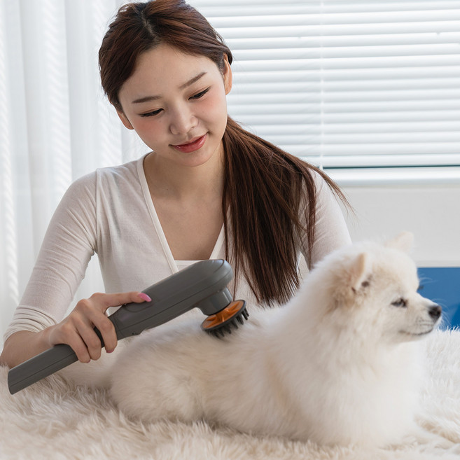 반려동물 전동 마사지기 펫 PAW WAVE 강아지 고양이, 1000개