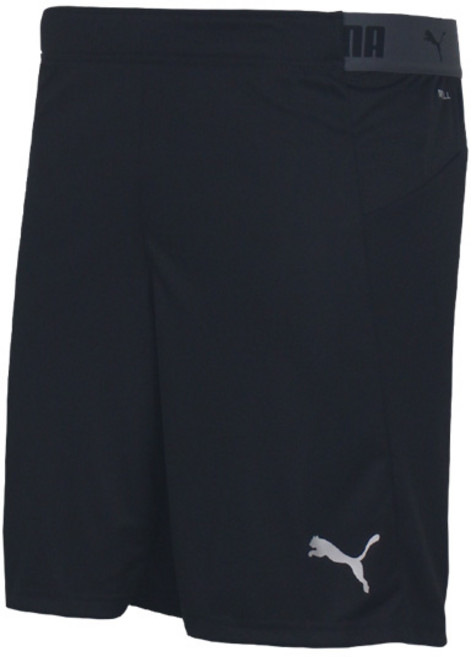 푸마 남성 FTBL NXT 드라이셀 팬츠 반바지 656159-01