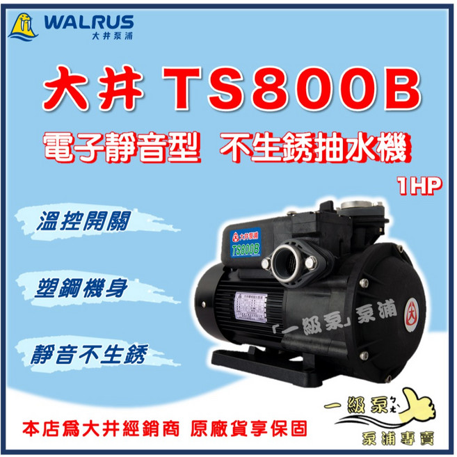 大井 TS800B 1HP 電子靜音型 不生鏽 一級泵浦 家用抽水馬達, 1個, 1" , 110V