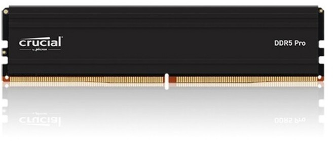 마이크론 Crucial DDR5-5600 CL46 PRO 아스크텍 (32GB), CP32G56C46U5, 1개