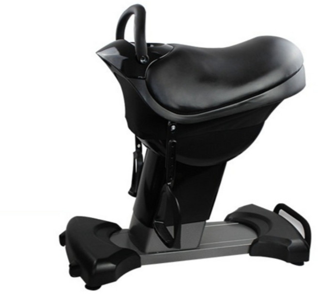 승마운동기구 유산소 다이어트 전신운동 홈트, 블랙