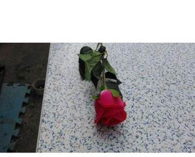 仿真玫瑰花, 仿真花 假玫瑰花 高仿真孔雀玫瑰苞 客廳絹花塑料花3朵, 1件