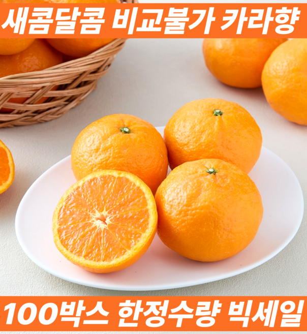 [유통마진제로] 오늘수확 레드향 다음 국내산 제주 카라향 산지직송, 1박스, 5kg