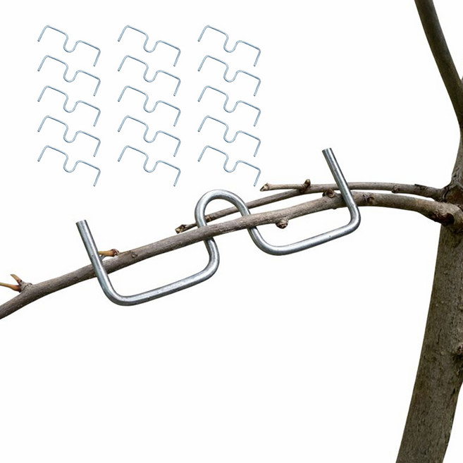 아띠꼴로 잘 휘어지네 가지유인 E클립 사과나무 이클립 50개 대형