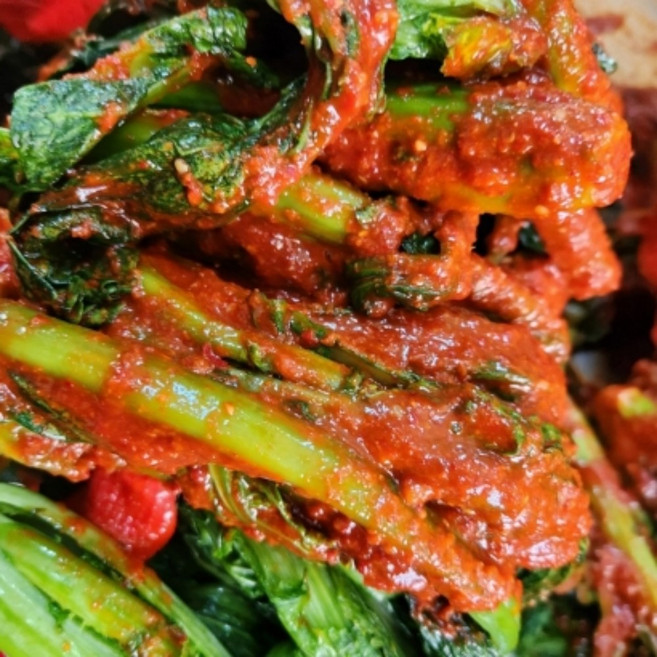 쌉쌀한맛 돌산갓김치 알싸한 여수돌갓김치2kg 별미 웰빙갓김치 찌개 전 요리, 2kg, 2kg