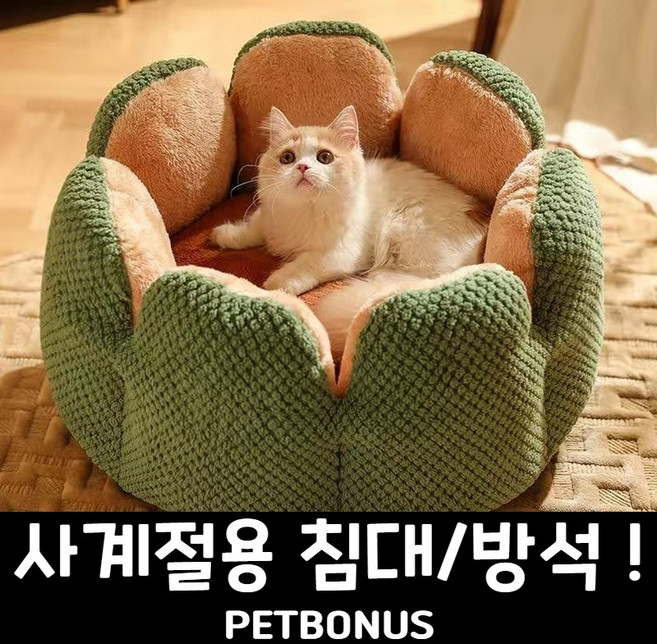 펫보너스 엑스트라 폼 딥슬립 고양이 선인장 침대겸 마약방석, 1개