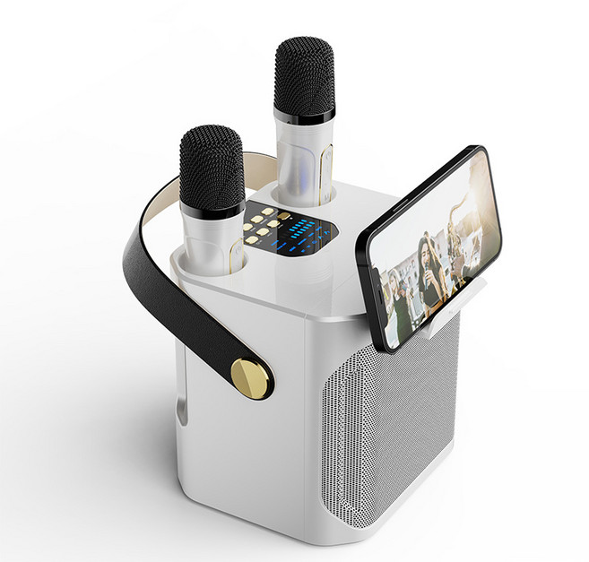 PYHO 블루투스 노래방 듀얼마이크 가정용 휴대용 블루투스 스피커, 흰색