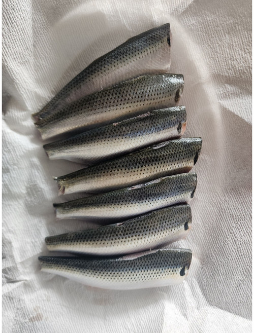 완도 전어 세꼬시 남해안 제철횟감 회무침 300g 500g 자연산 손질 급냉, 손질전어300g(1-2인), 1개