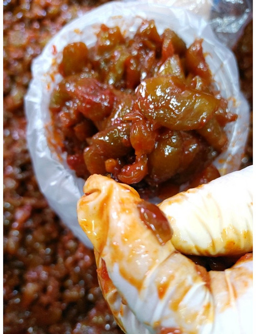 국내산 수제 양념 아삭한 매실 순창 장담아전통식품 산지 직송 청매실 장아찌, 500g, 1개