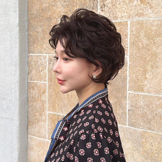 여성 중년 가발 숏컷 엘레강트 볼륨 픽시 - 호시헤어위그, 1개, 엘레강트 딥 초코브라운